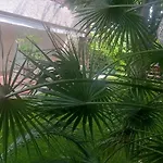 Cosy à Saint-raphaël - 65 M² - Jardin Privé *