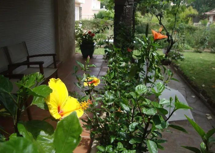 Cosy A Saint-raphael - 65 M² - Jardin Prive Apartmán *